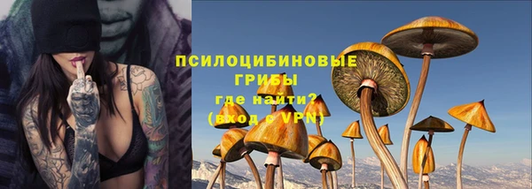 соль ск Инта