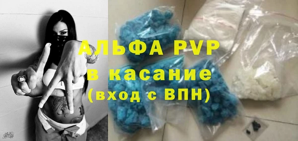 дмт Осташков