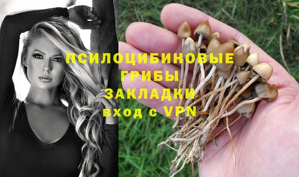 ешки Медногорск