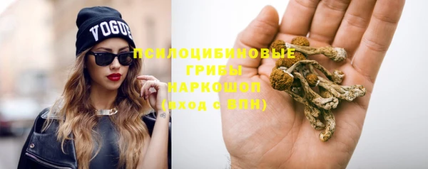 соль ск Пересвет