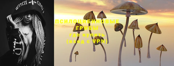 соль ск Медвежьегорск