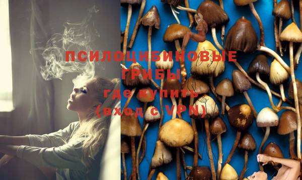 тгк Иннополис